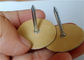 Carbon Steel Di Electric Cup Head Pins để cố định cách nhiệt sợi thủy tinh trên ống dẫn kim loại
